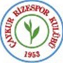 Çaykur Rizespor haberleri